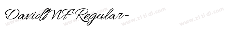 DavidMF Regular字体转换